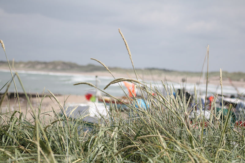Vand, sand, marehalm